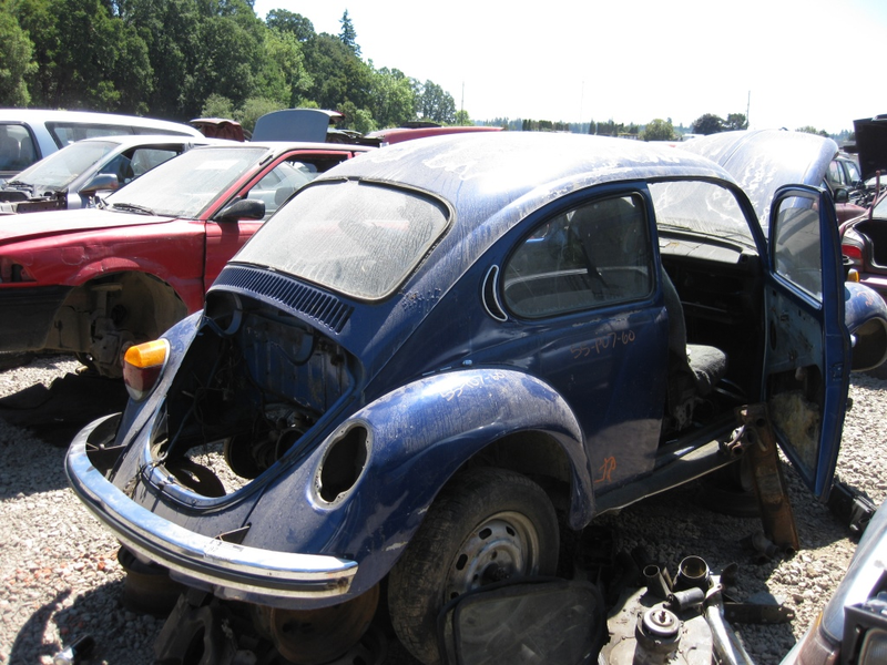 Illustration for article titled Went to a car graveyard today